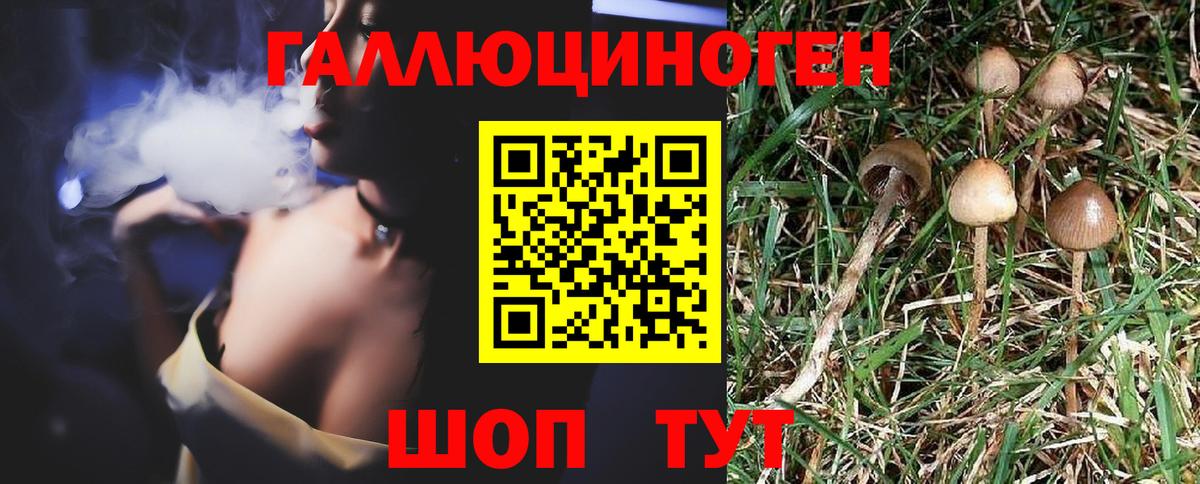 Галлюциногенные грибы GOLDEN TEACHER Заводоуковск