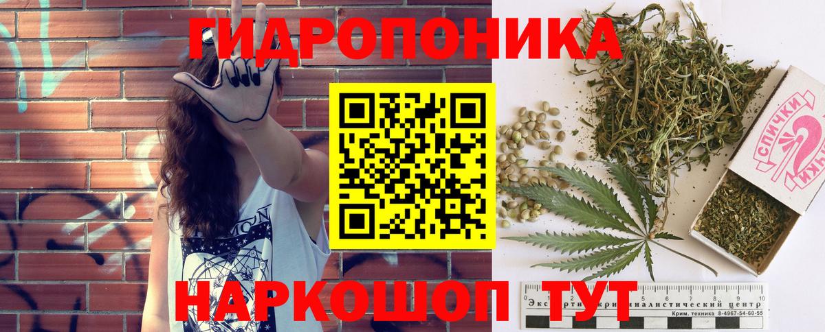 Шишки марихуана семена Заводоуковск
